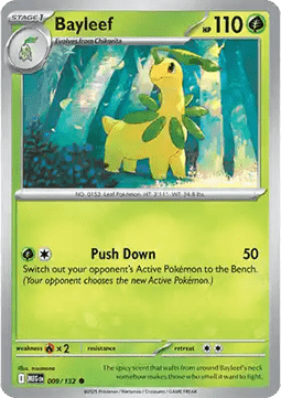 Bayleef 009/132