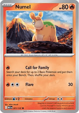 Numel 021/132